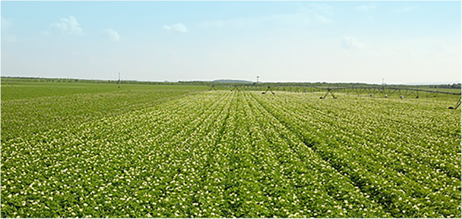 欧博abg - 官方网站登录入口