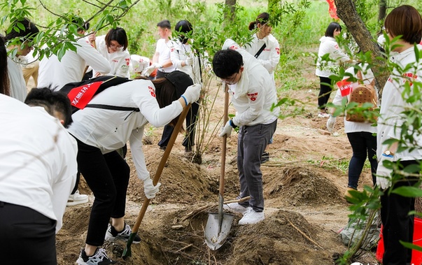 欧博abg - 官方网站登录入口