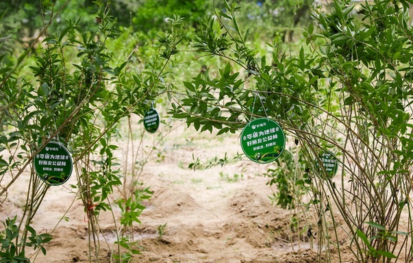 欧博abg - 官方网站登录入口
